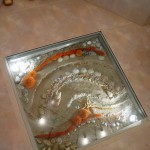 Скляна підлога (3)